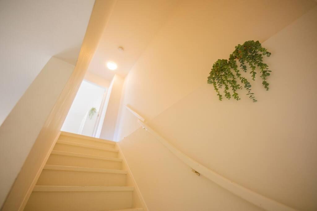Lovely 3 Bedroom Apartment In Eindhoven 65M2 - Sd23N ภายนอก รูปภาพ